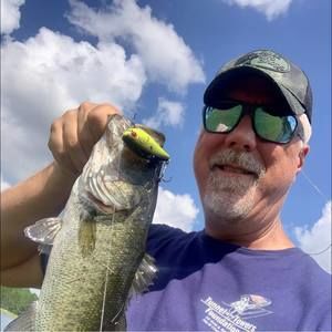 Meet your Posher, Artie